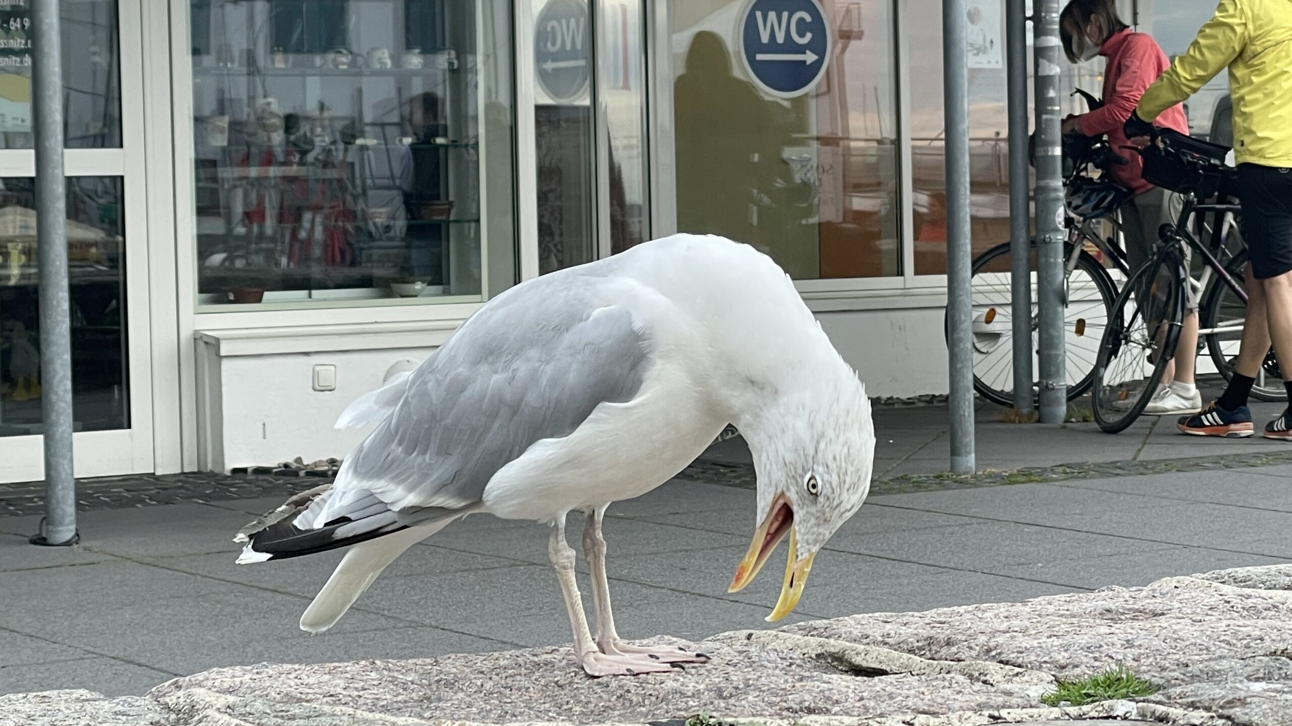 0356725A-531A-4388-A1FC-A382DEC468C4