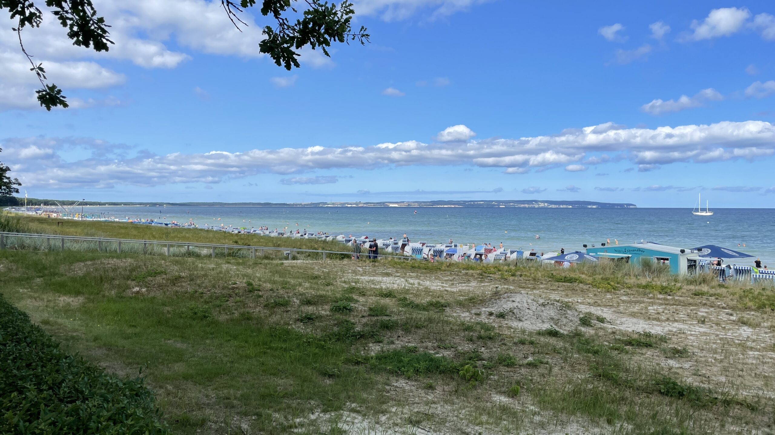 1AFD8A26-FA3D-4C5E-B5CE-E13425A7D189