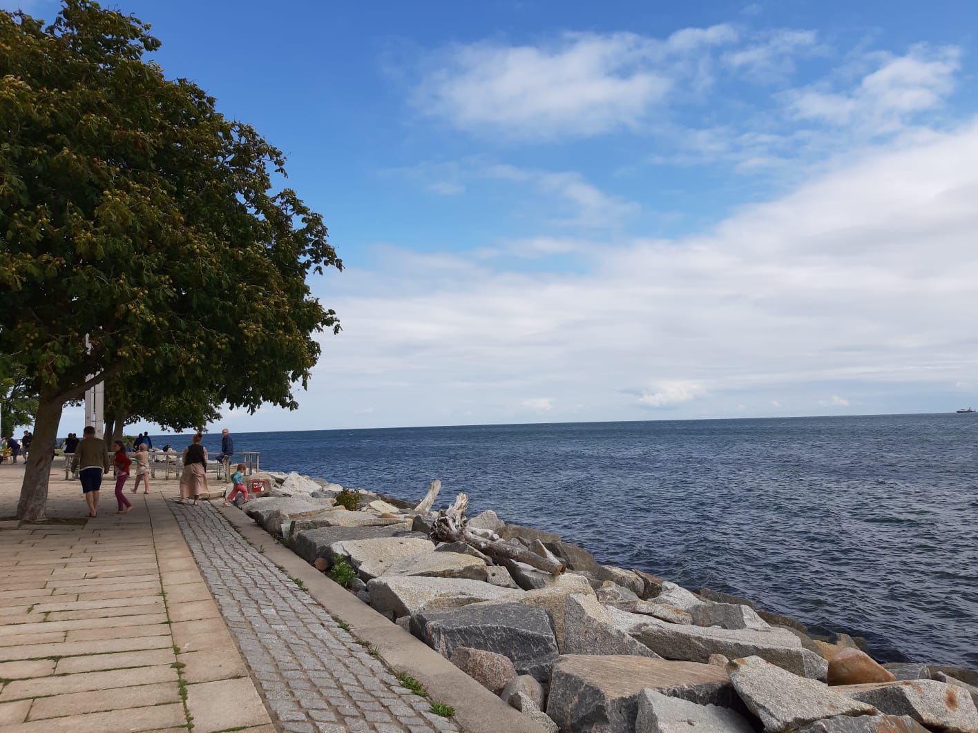 2FA19EB6-5B3D-40A6-A148-7F1F0DB43036