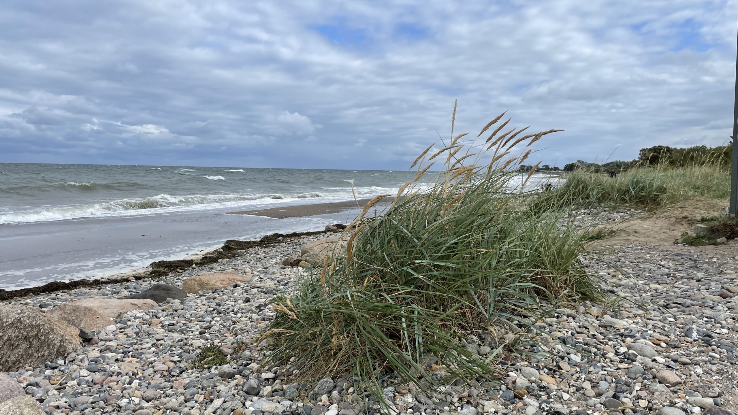 49CEC72B-01E7-4279-B3F1-8567BB7BE3A6