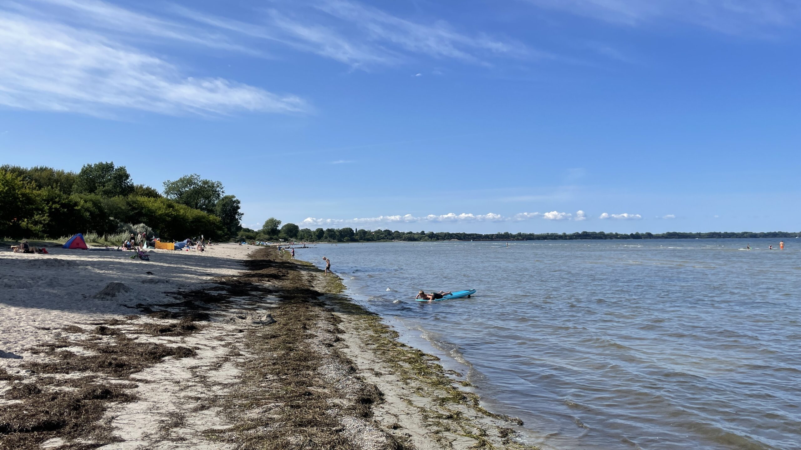 553CF57E-3466-4D46-A445-6F88259E8871