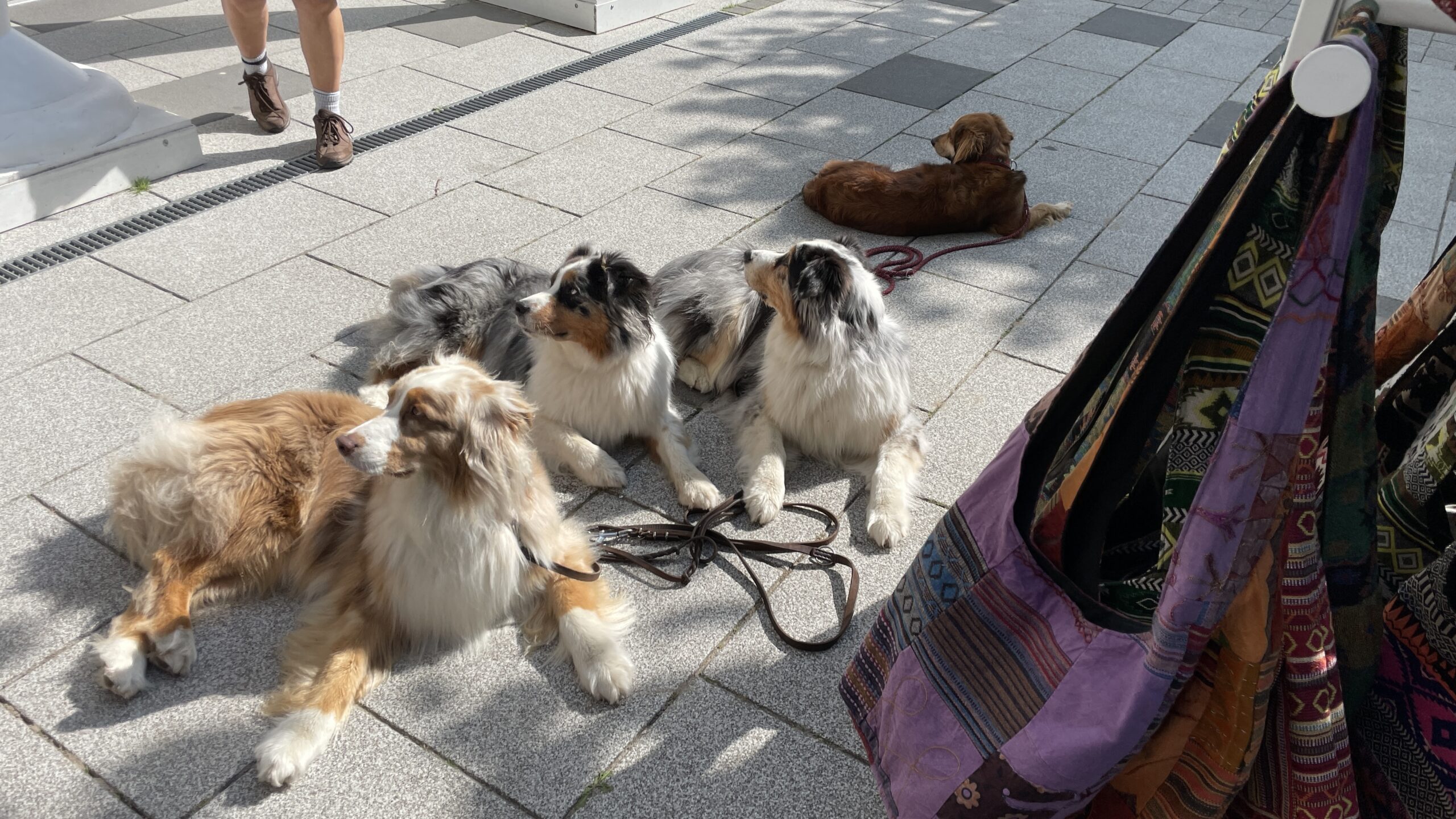 56EE4B0E-B39A-4BAA-9A01-FE9571A4A889