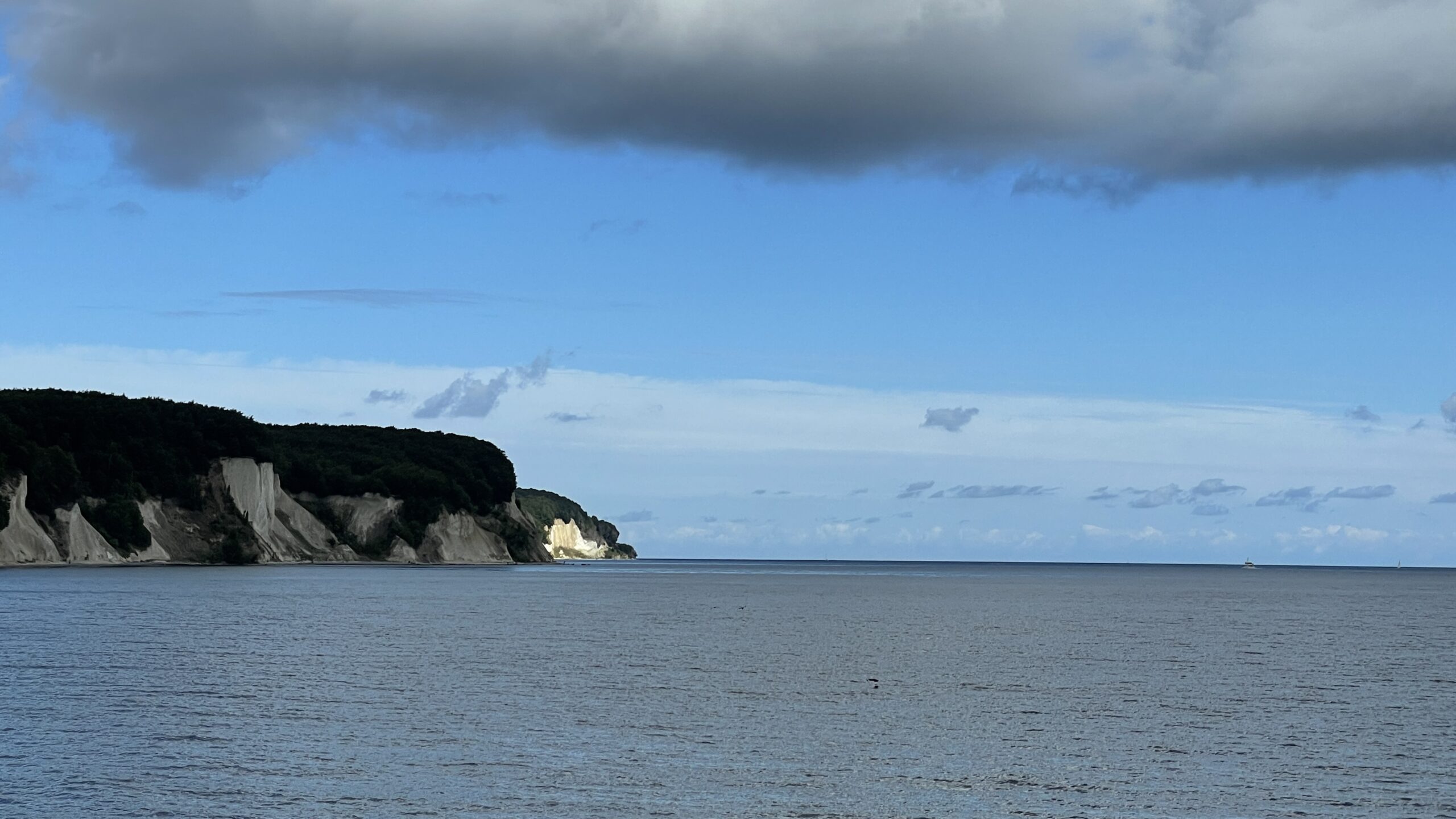 63D463F2-1D41-4D9D-99C8-103F0CB0D0B2