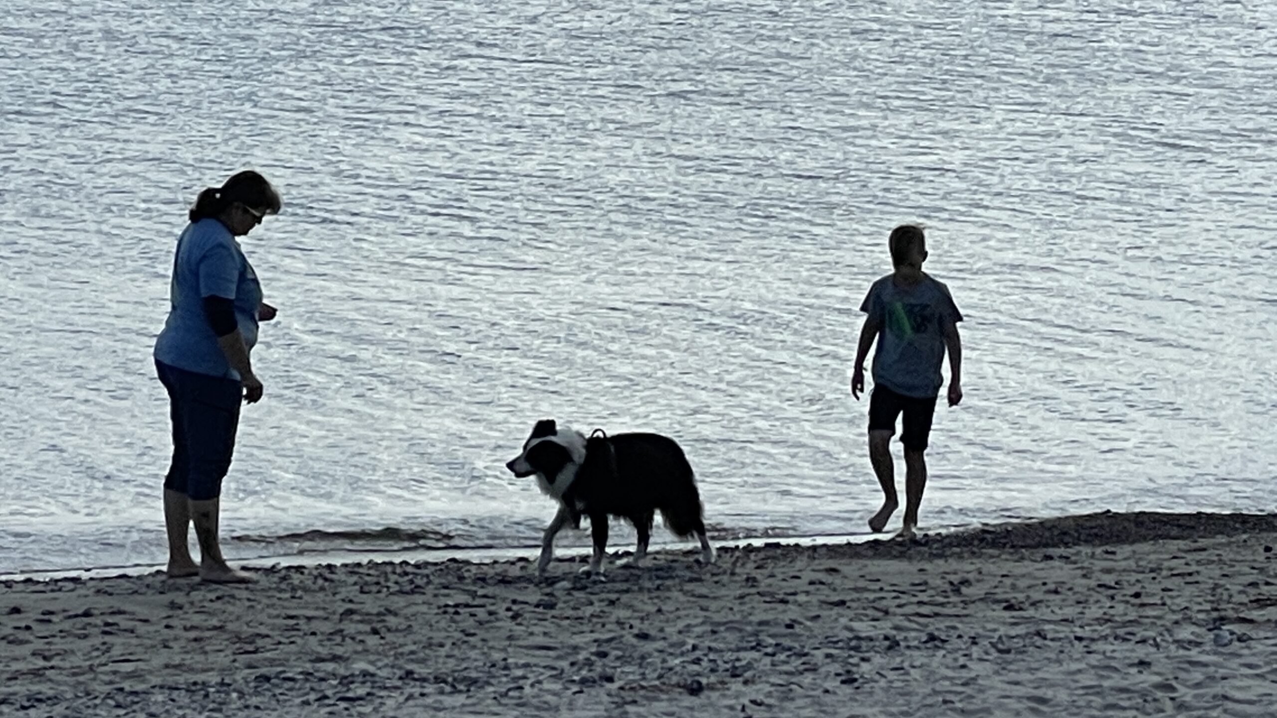 6B24EE40-EC46-4A51-B03A-5A227359C31F