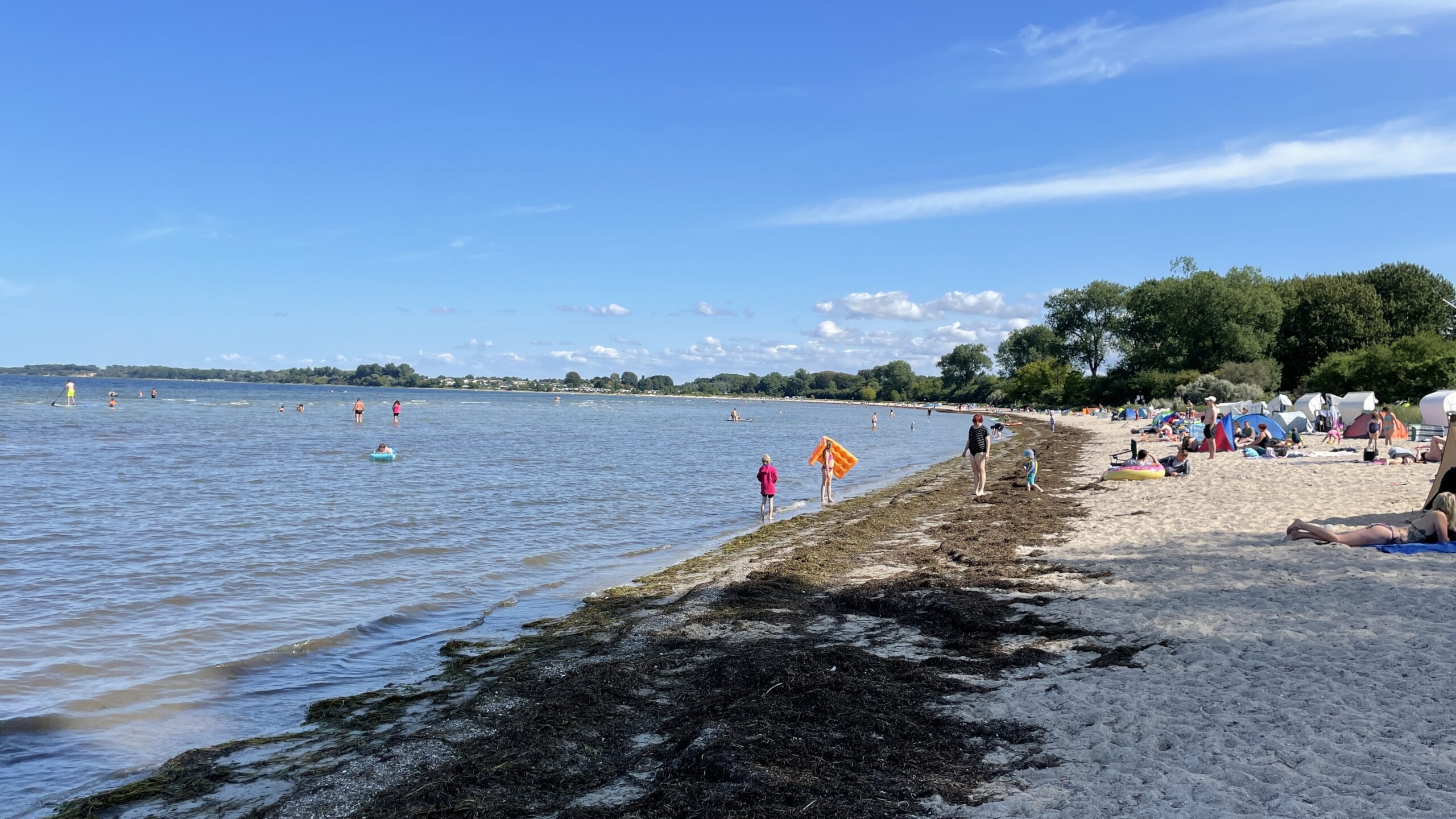 90B1AB3B-3EEE-44AA-94EE-E7C5760DD821